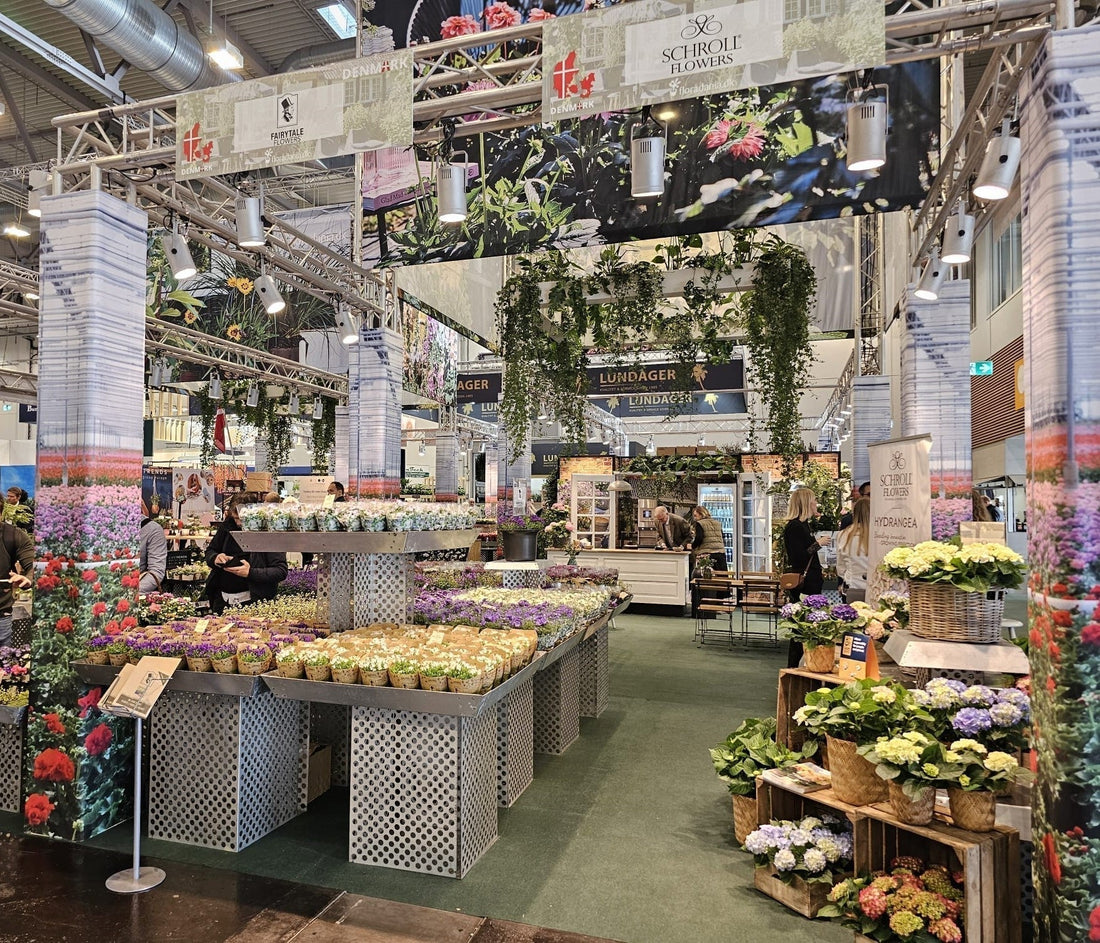 Ein Blick in die Zukunft des Gartenbaus – Meine Eindrücke von der IPM ESSEN 2025