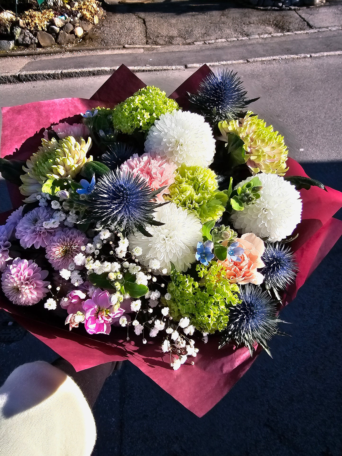 Majestätische Natur