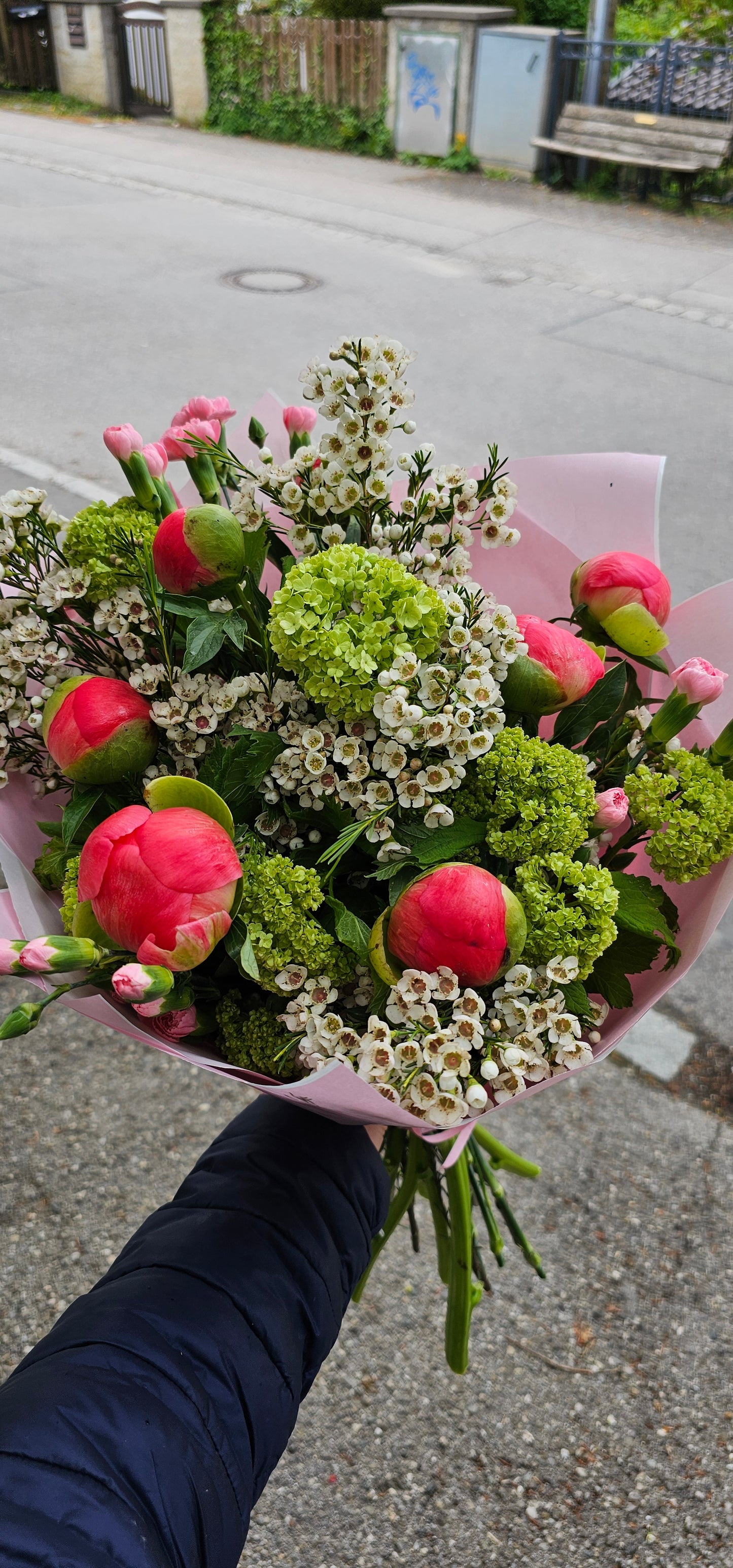 Frischer Charme