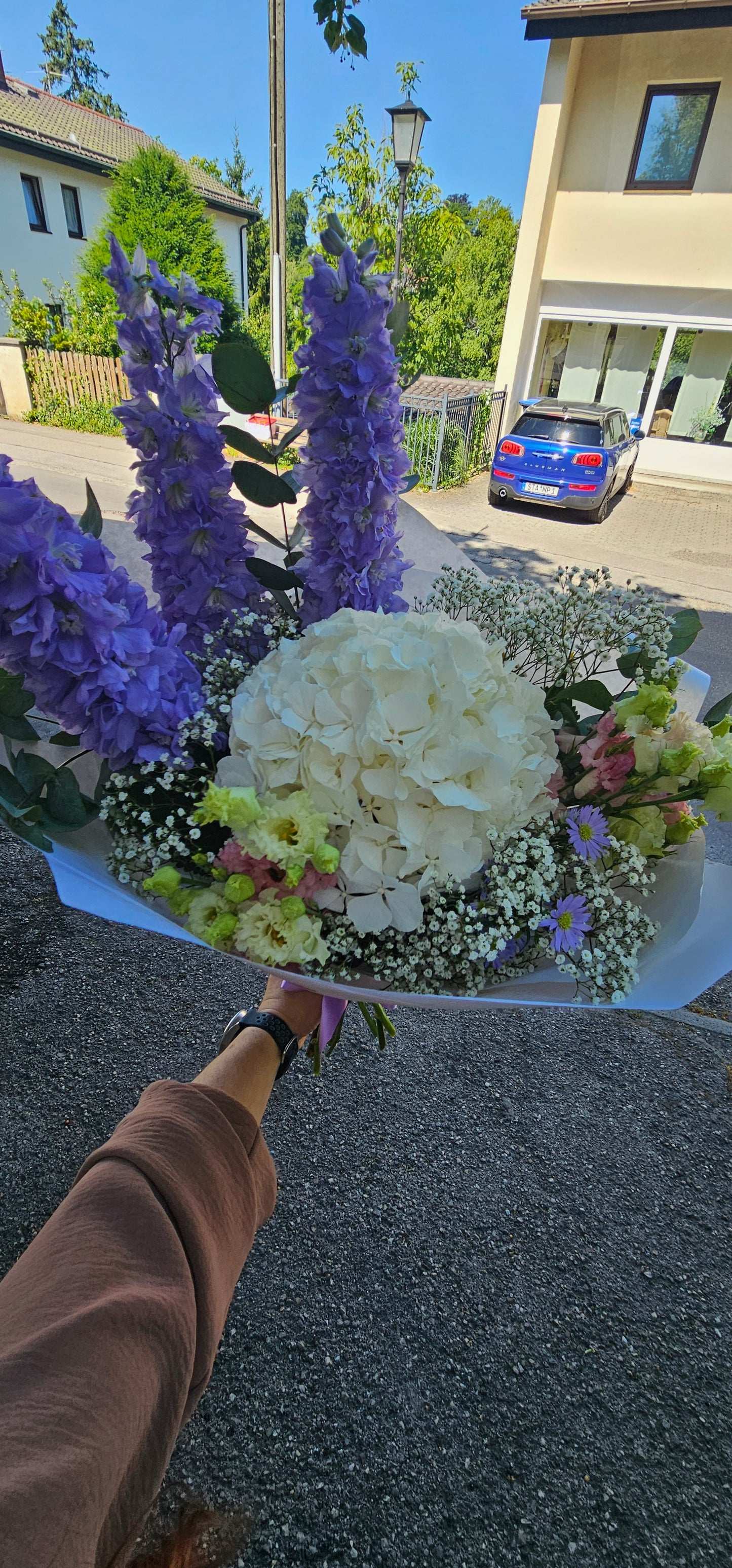 Kühl & Elegant