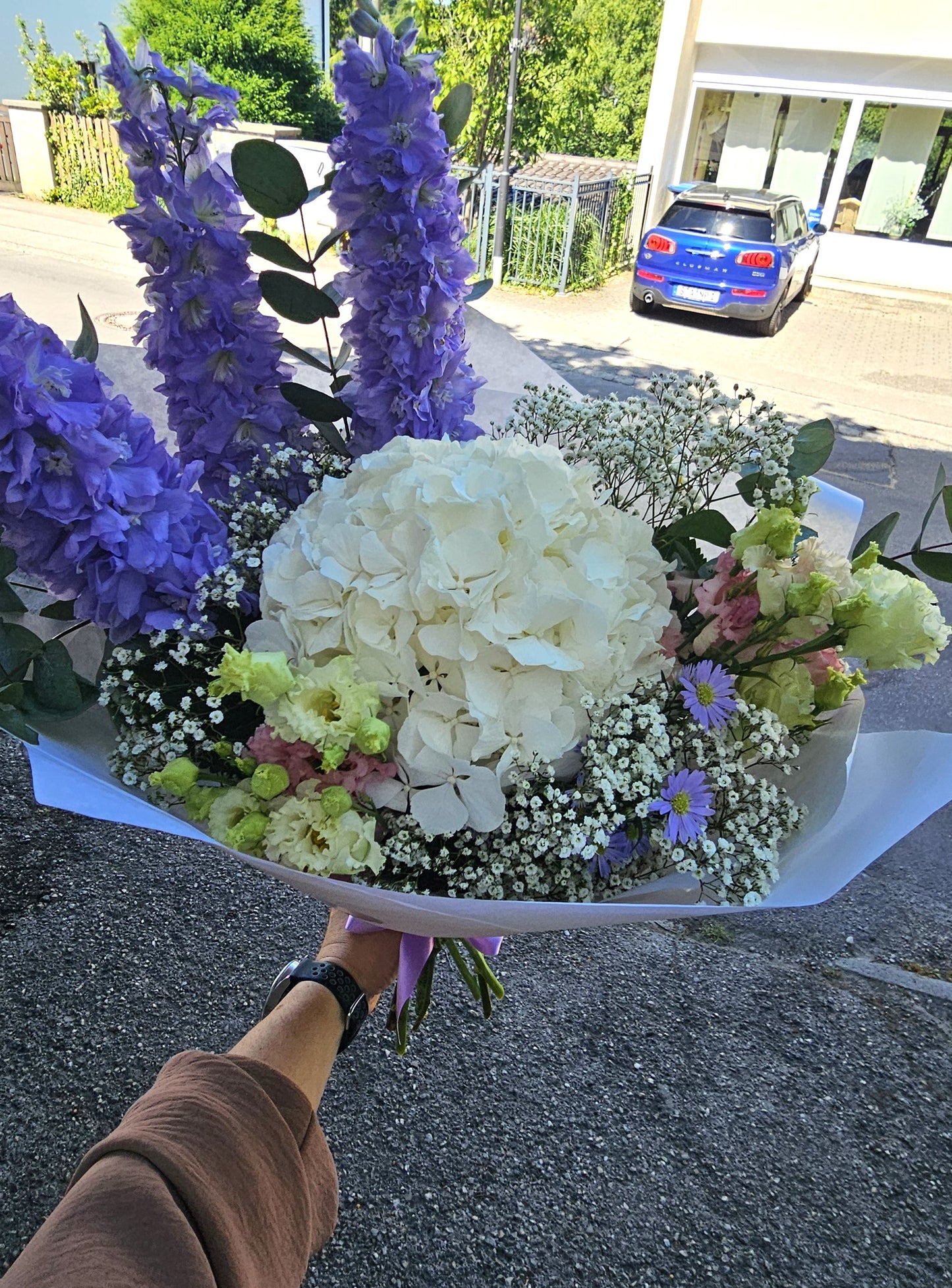 Kühl & Elegant