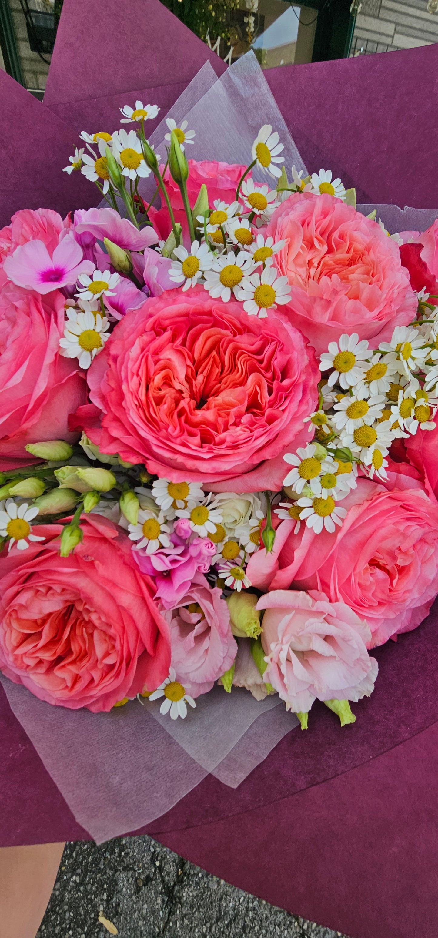 Rosenfreude