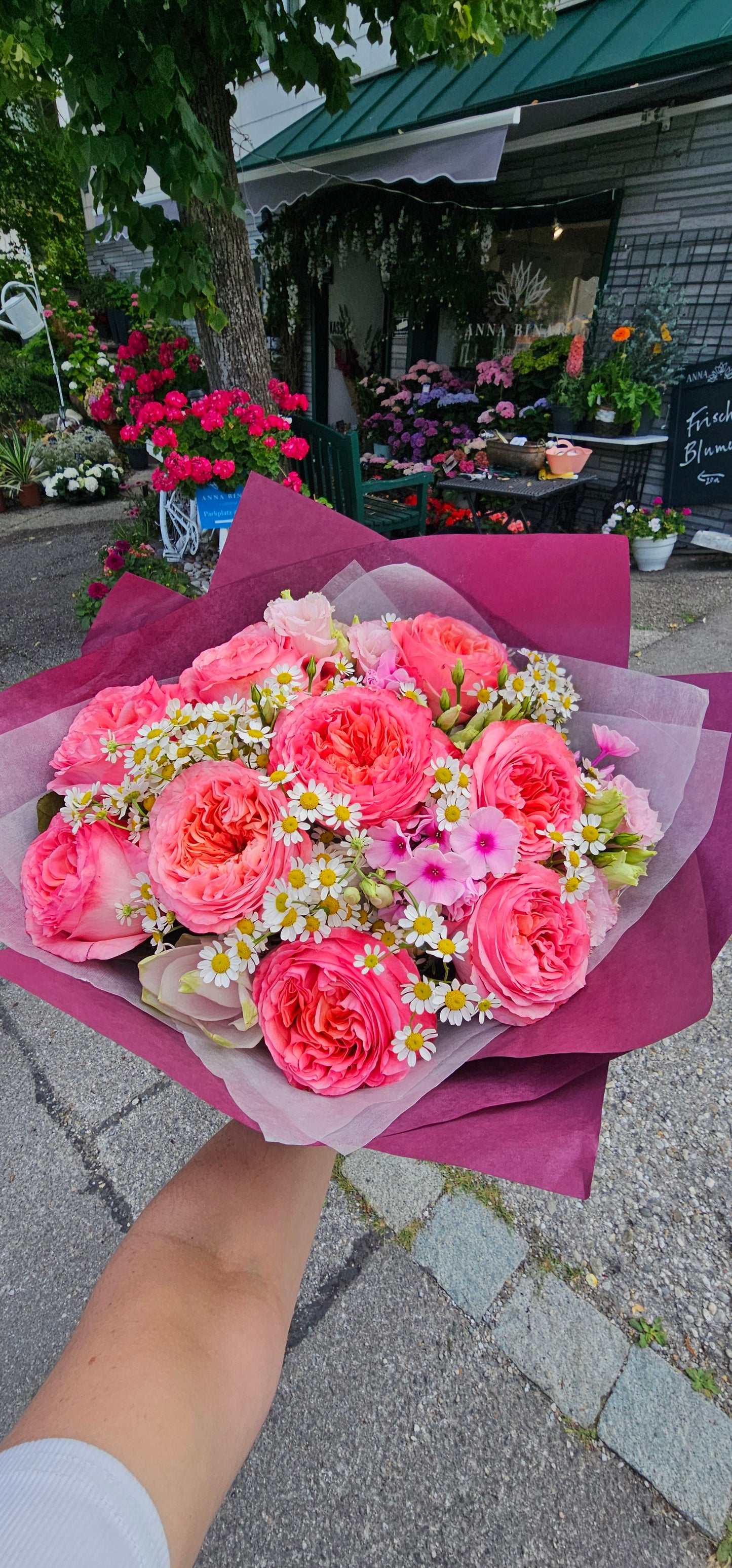 Rosenfreude