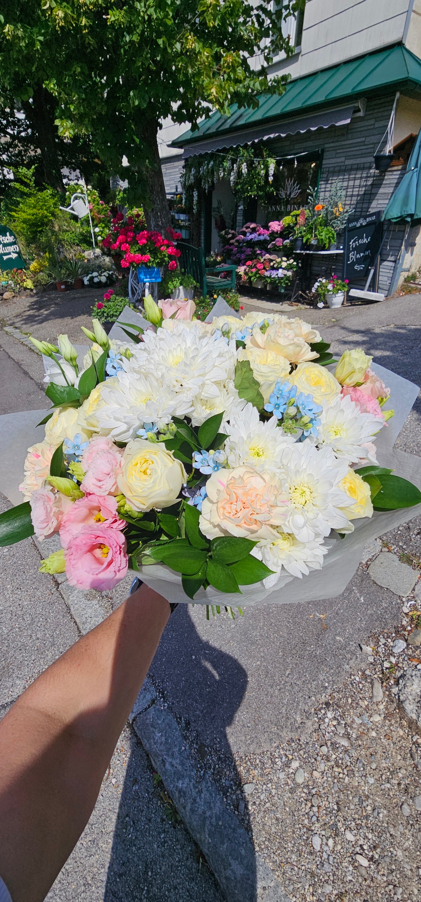Blütenschimmer