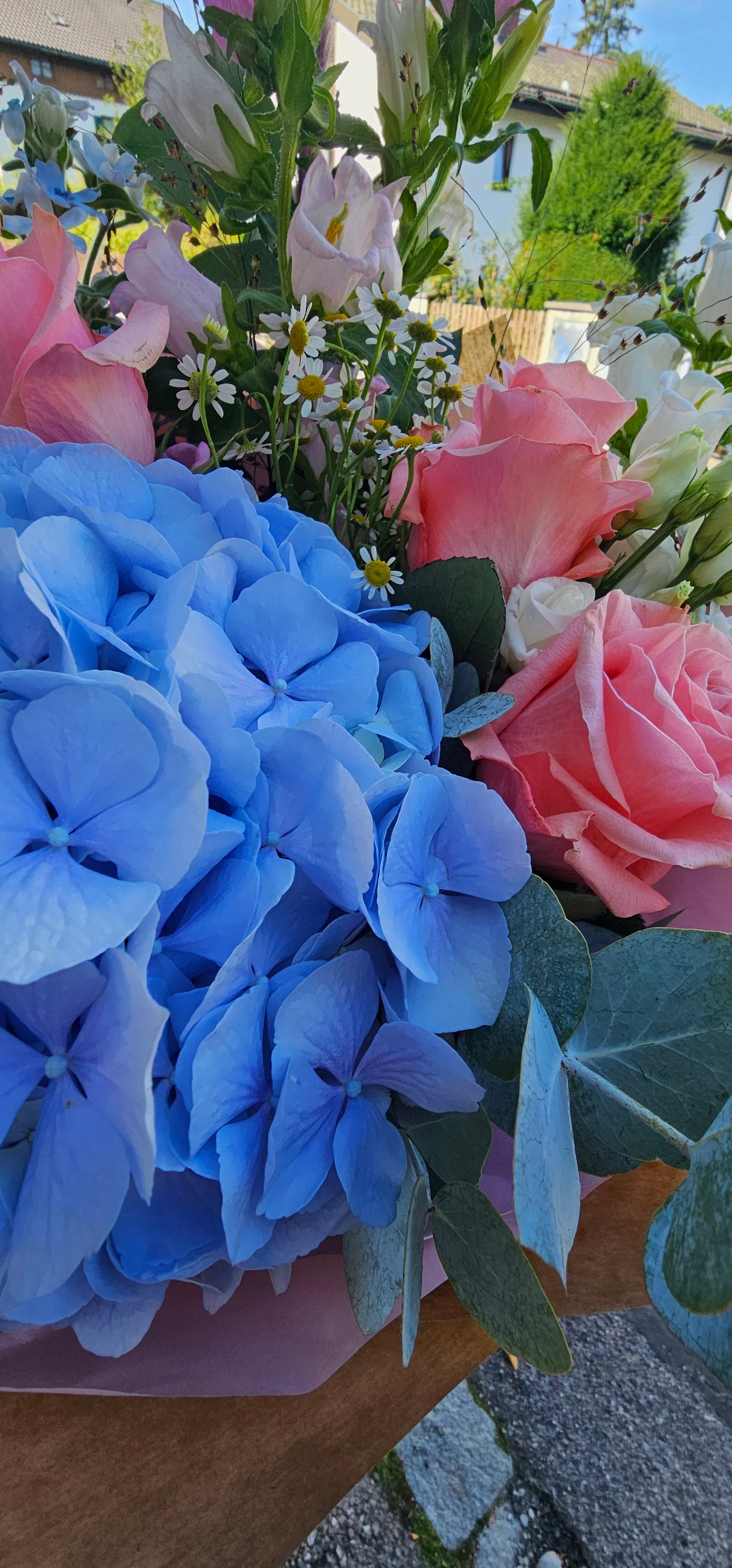 Blaue Freude