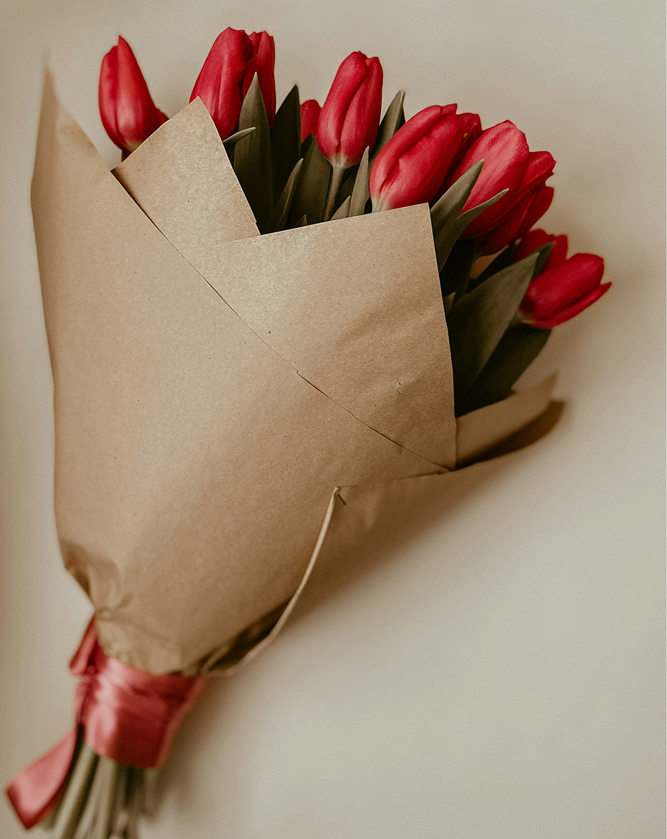 Roter Tulpenzauber