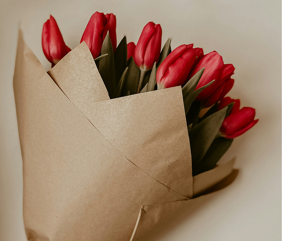 Roter Tulpenzauber