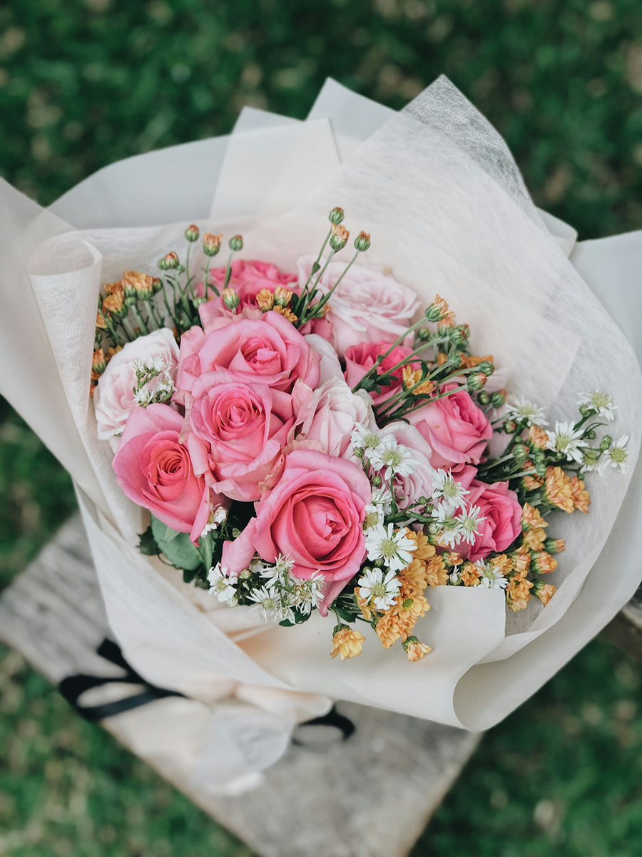 Rosa Harmonie