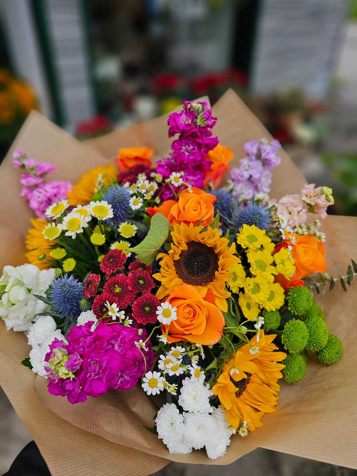 Farbenfrohe Sommerlaune