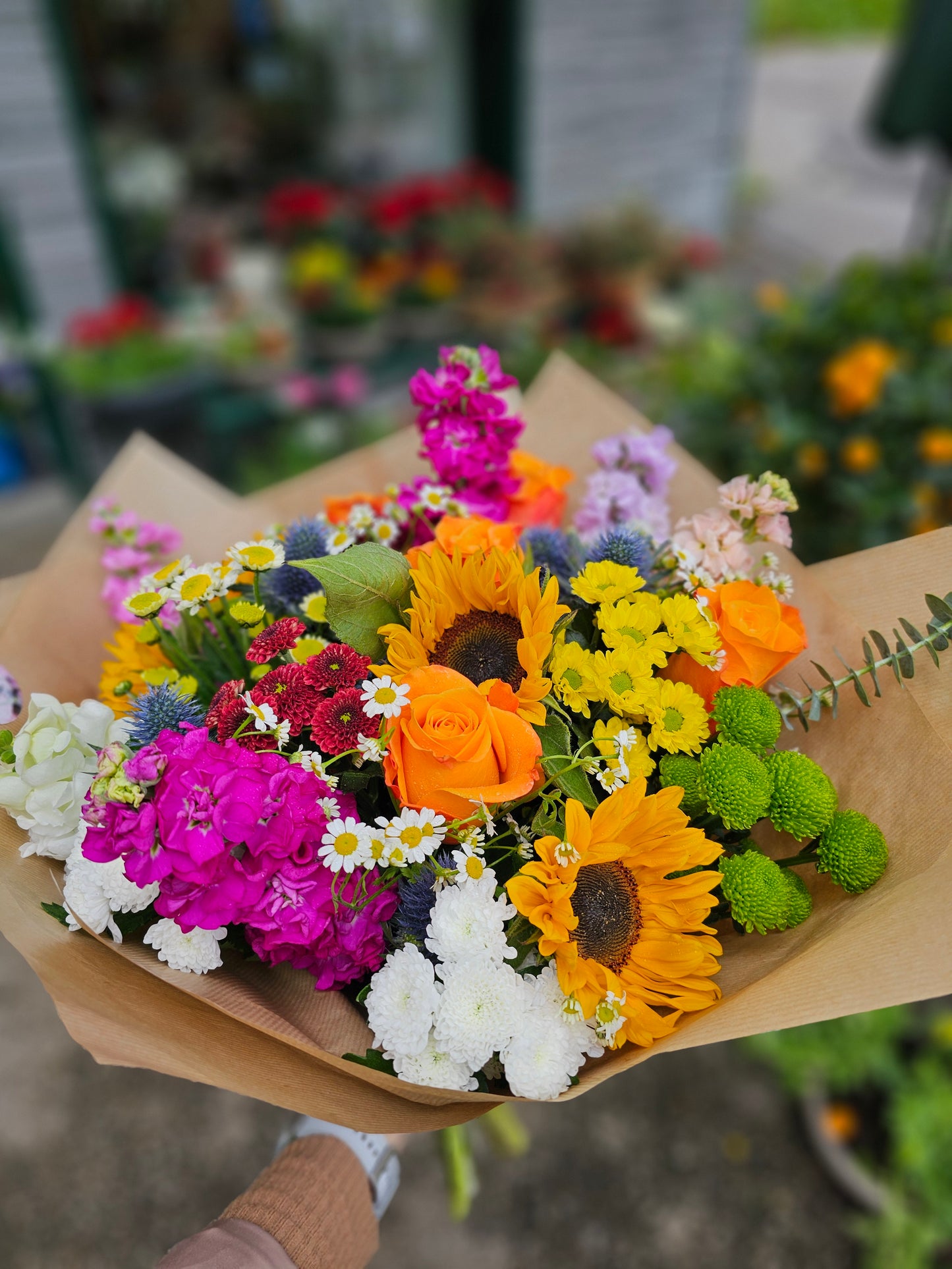 Farbenfrohe Sommerlaune