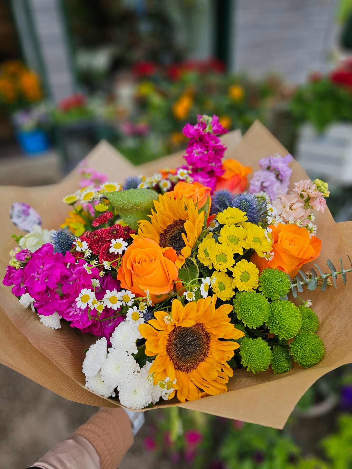 Farbenfrohe Sommerlaune