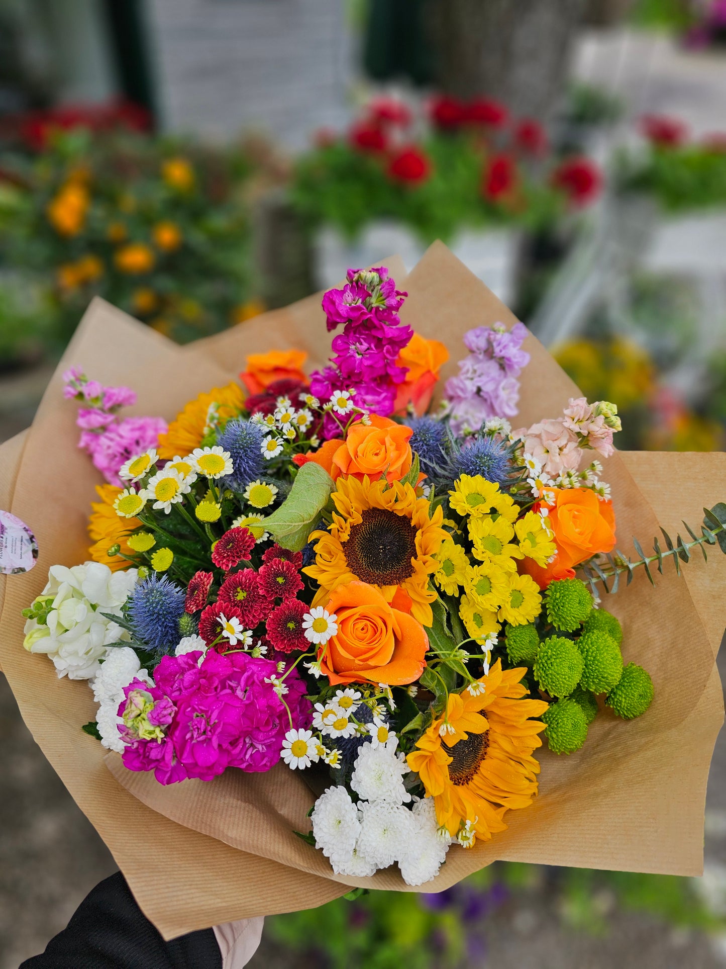 Farbenfrohe Sommerlaune