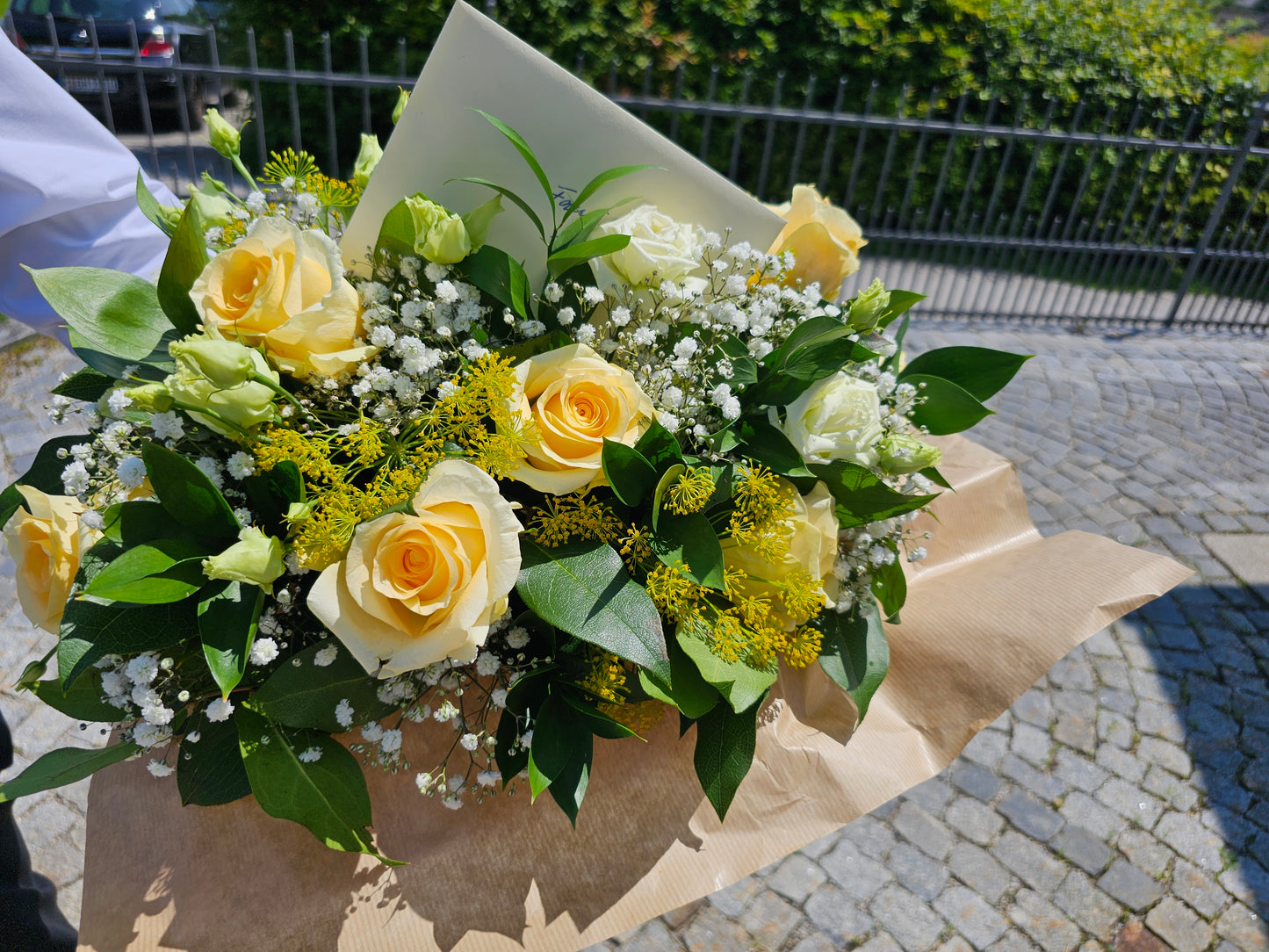 Sonnenschein