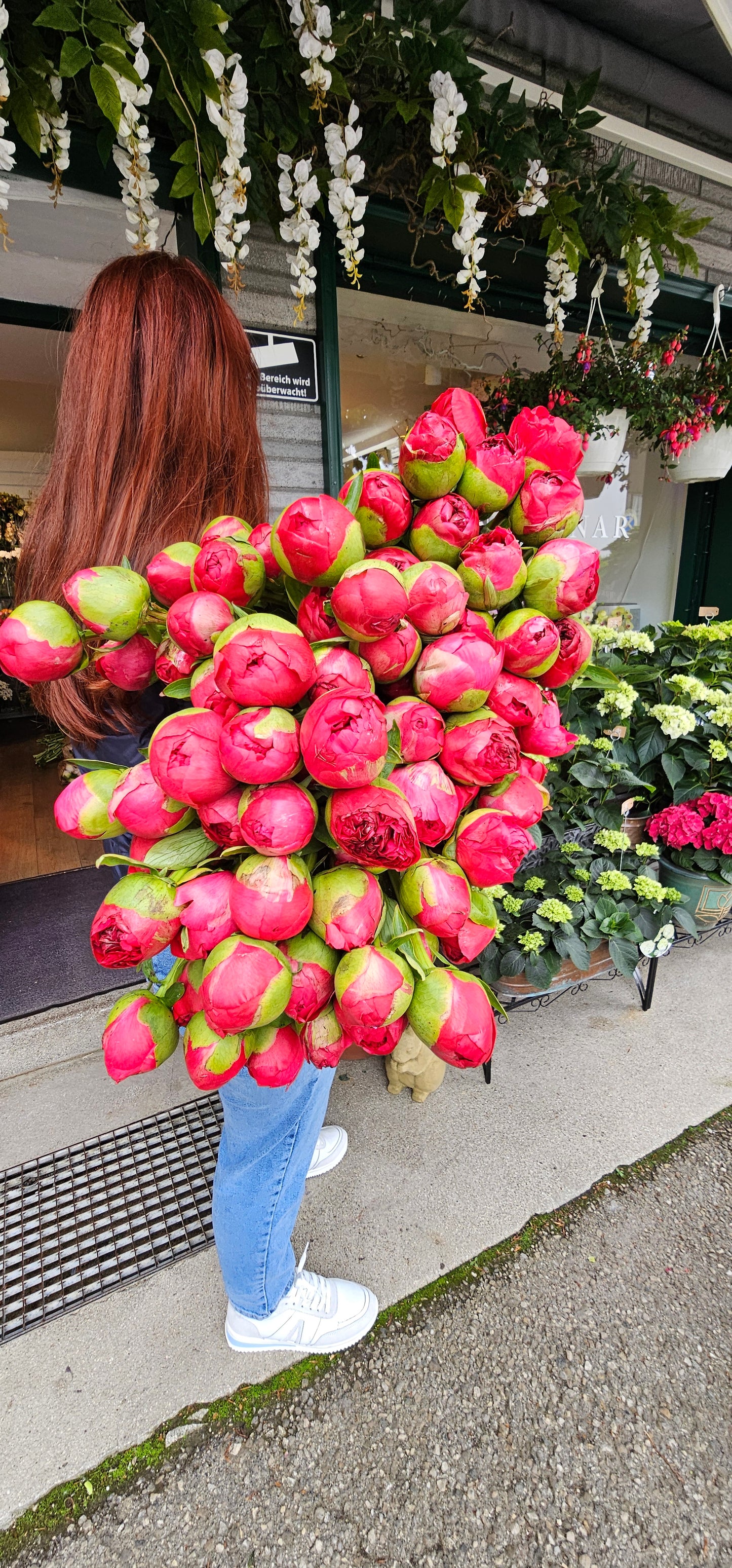 Pfingstrose Lachsfarben