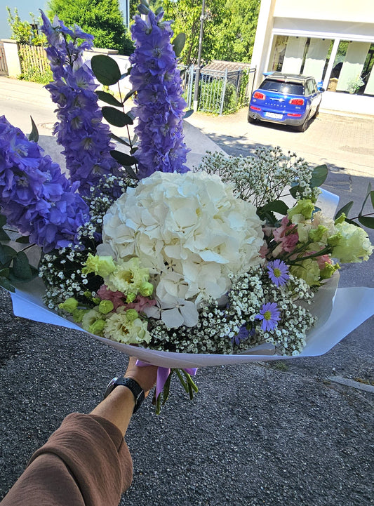Kühl & Elegant