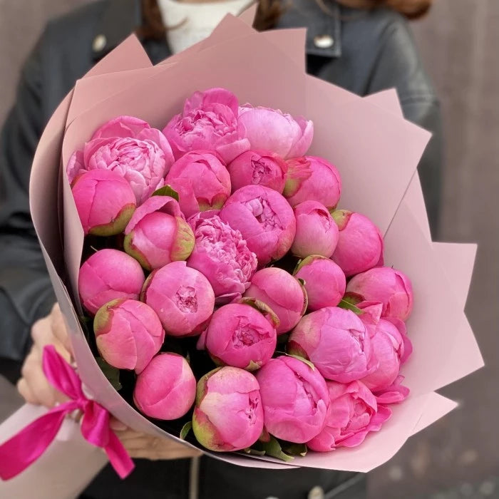 Pfingstrose Pink