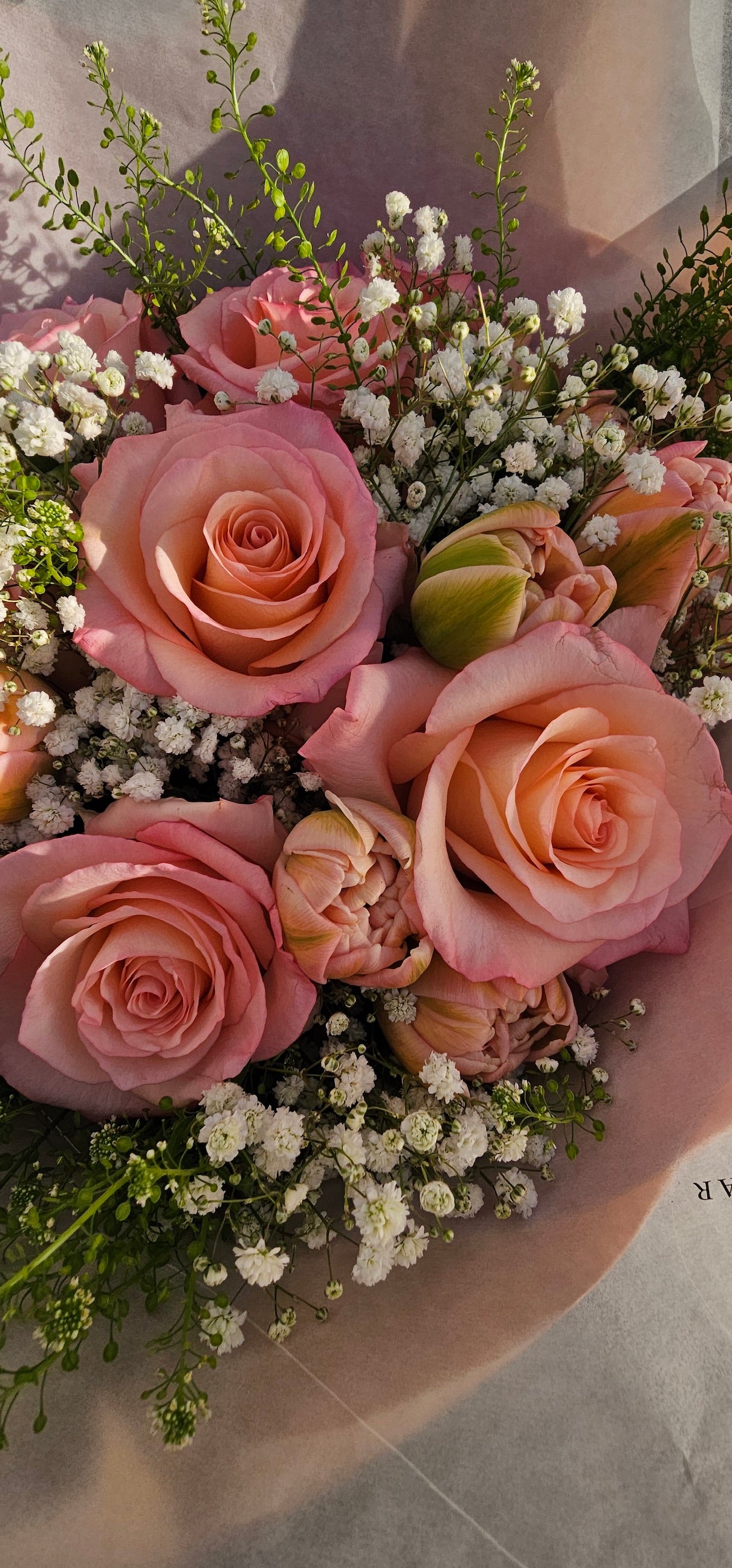 Rose Whisper