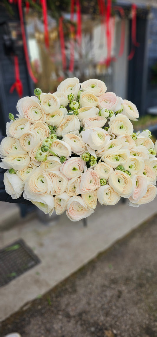 Zarte Ranunkel-Cloud