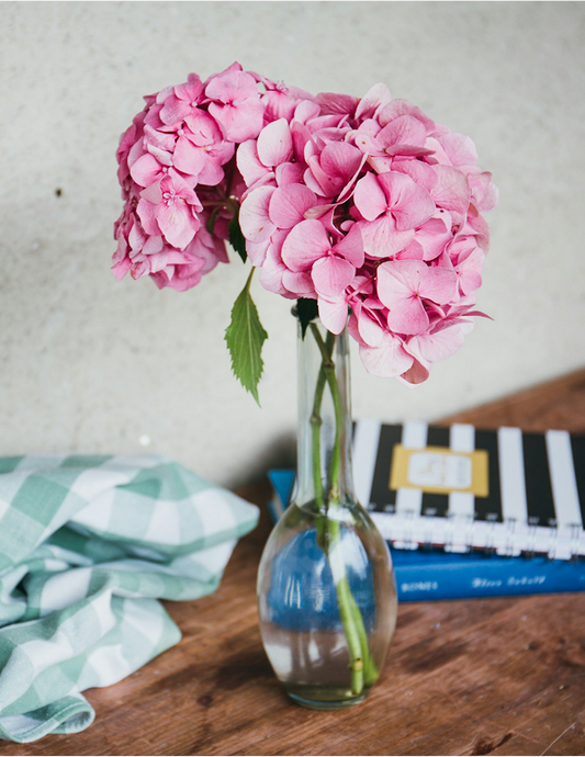 Minimal Bloom